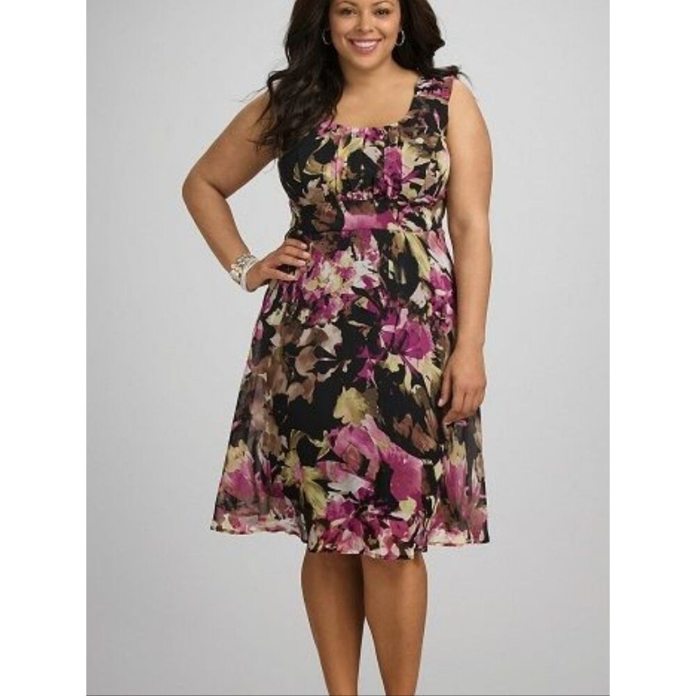 Dressbarn watercolor moody floral print plus size dress size 20